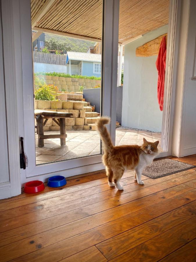 Villa Amanzi ハウト・ベイ エクステリア 写真